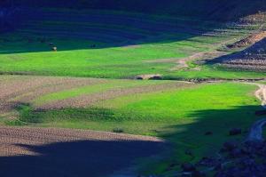 辽宁省地级市“丹东市”概述