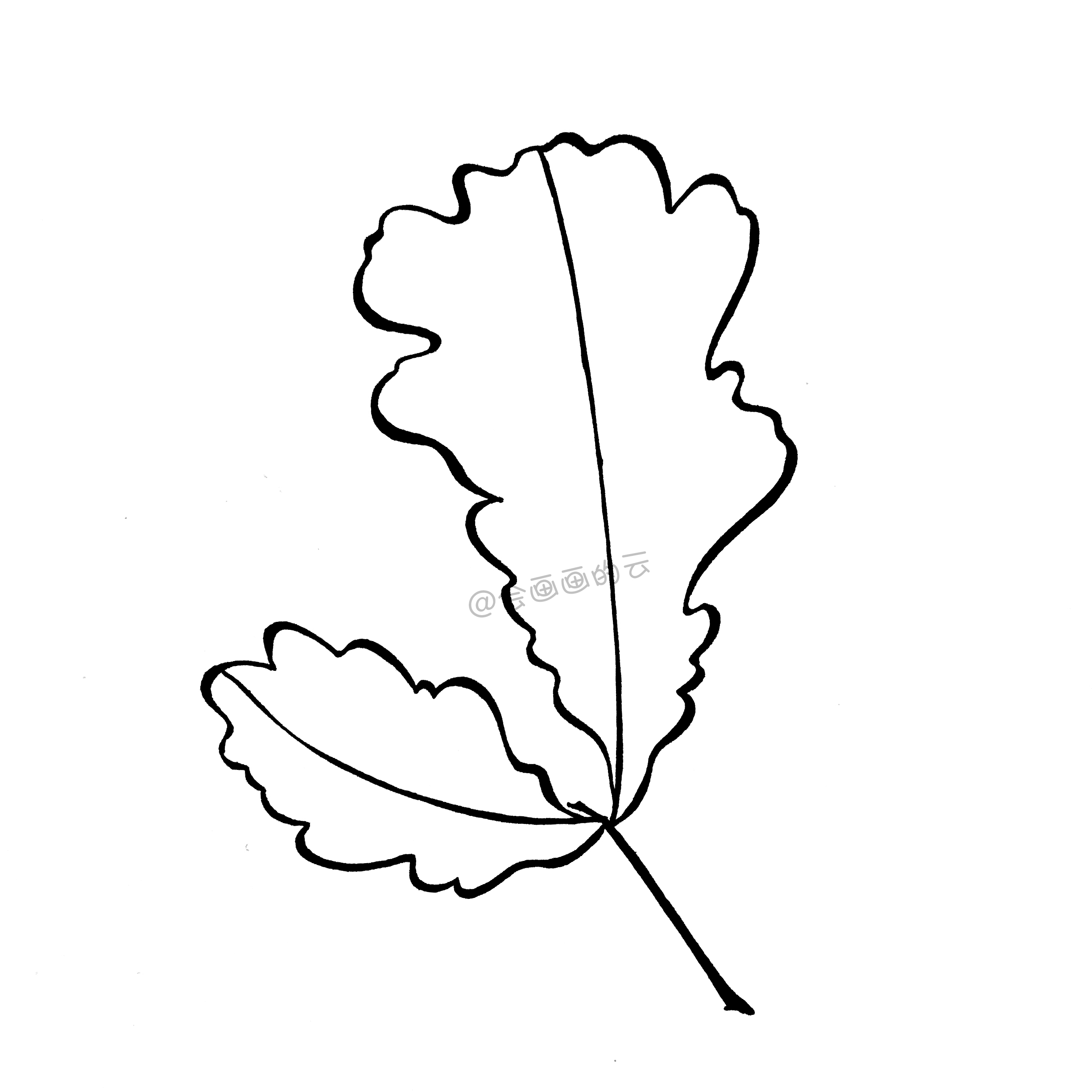 怎样画树叶图片大全集(一支笔就可以画的简笔画) - 赤虎壹号