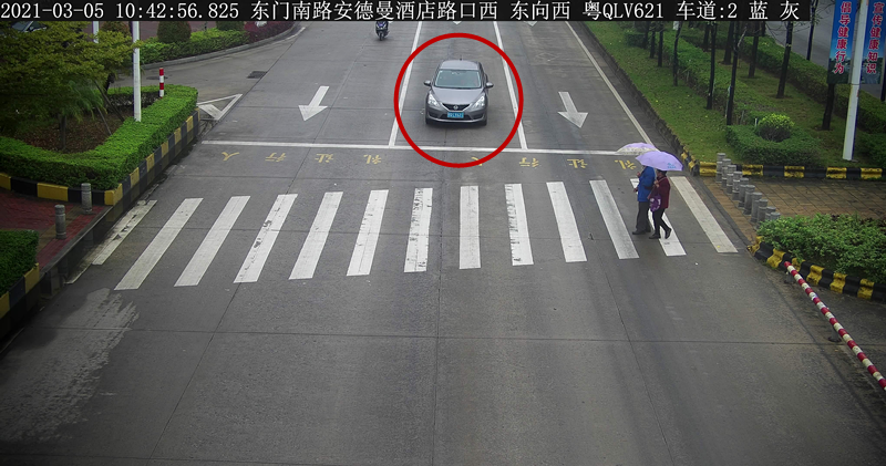 交通违法曝光！