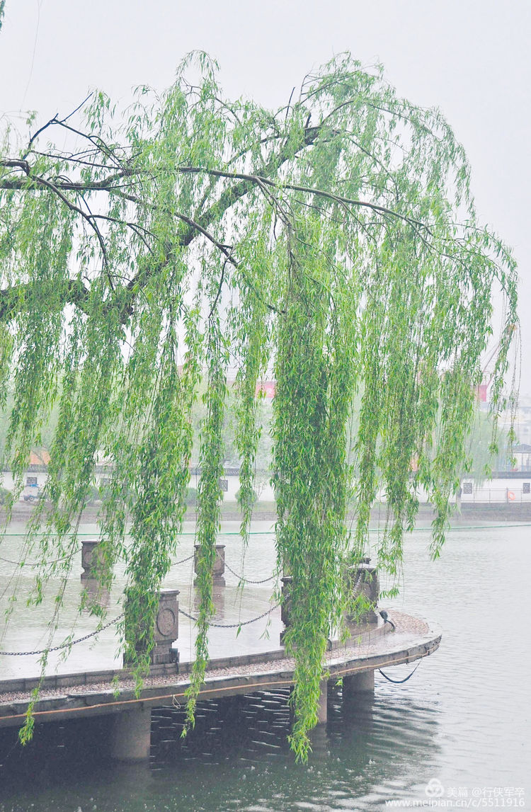 莫愁湖——粉黛江山，留得半湖烟雨；王侯事业，都如一局棋枰