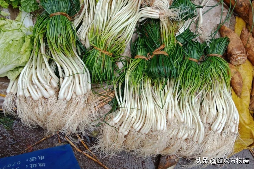 漫谈起源于中国的蔬菜