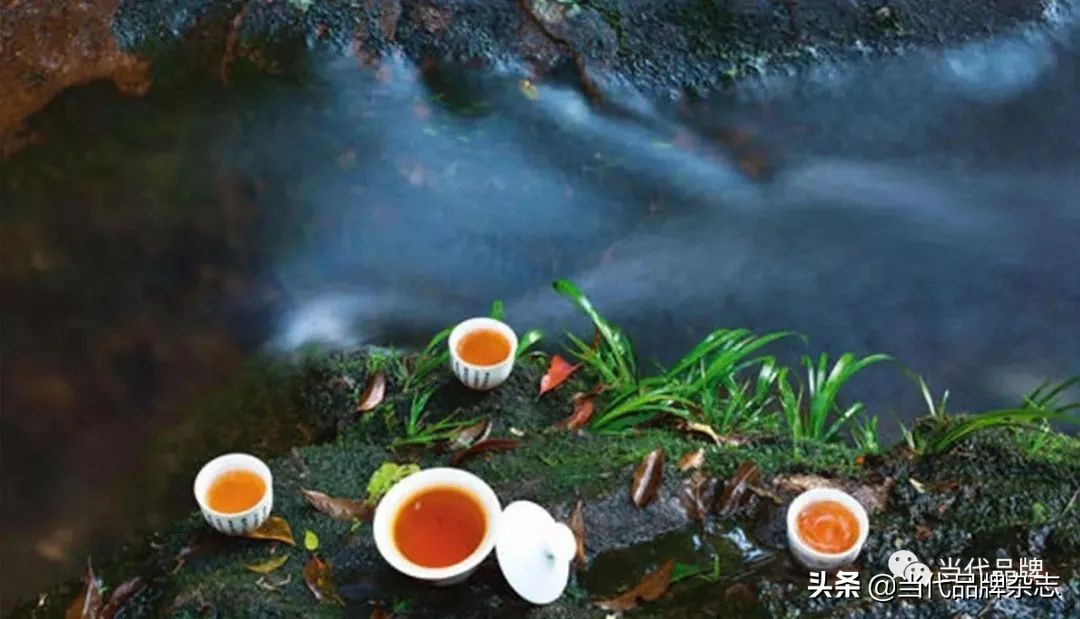 2020年中国十大名茶排行榜揭晓，品质再创新高