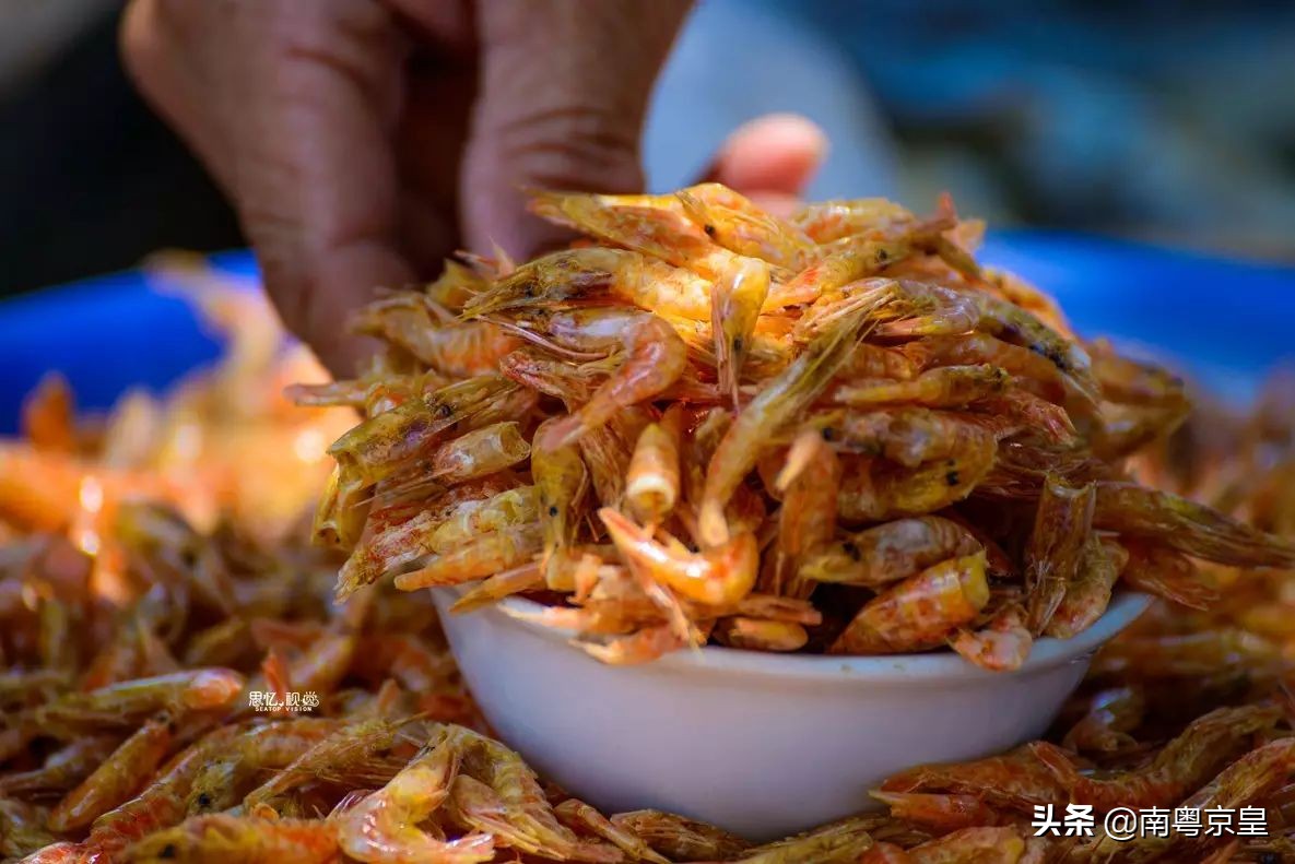 清远北江河边有个小渔村~白庙，还有个娃娃鱼养殖基地雪鲵庄园