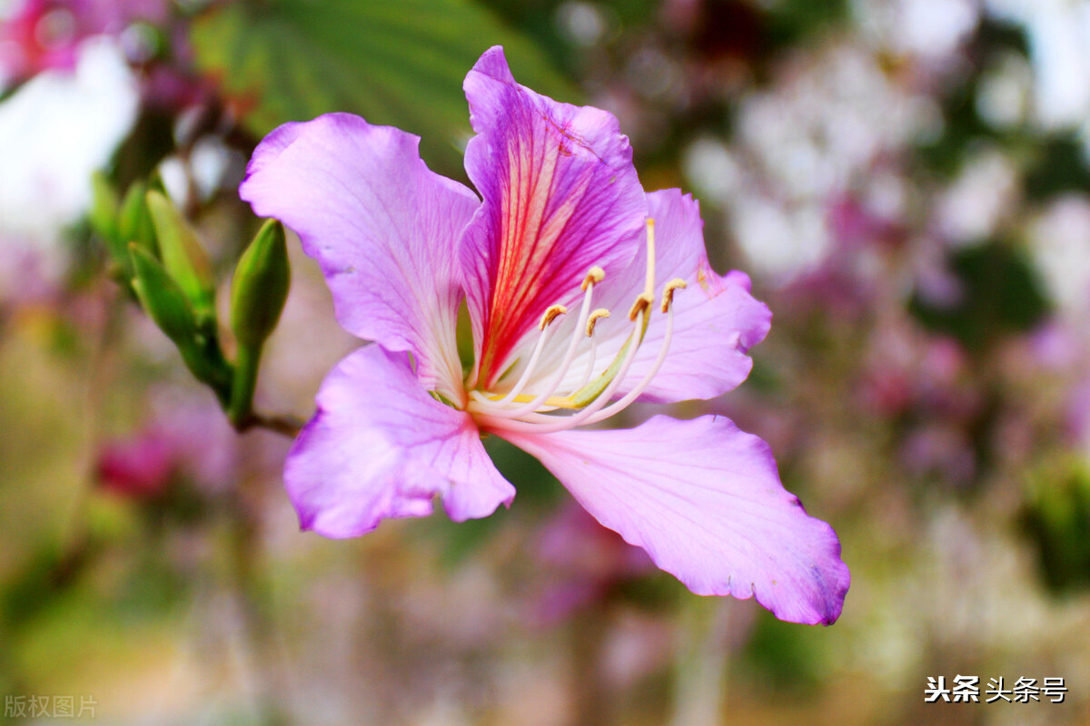 史上最全组合飞花令：季节＋天气（一）春＋天气