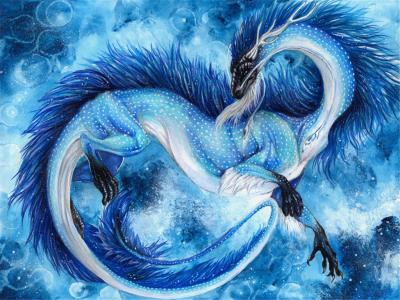 龙是否真的存在过？有何依据？