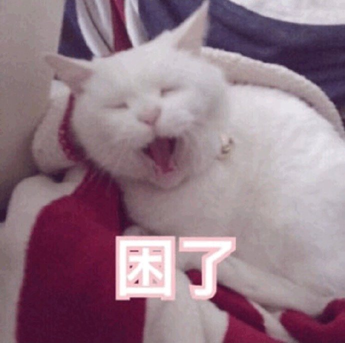 猫咪说晚安表情包