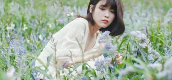 新疆棉花事件后，IU因辱華翻車被罵慘，這次黃子韜都護不住她