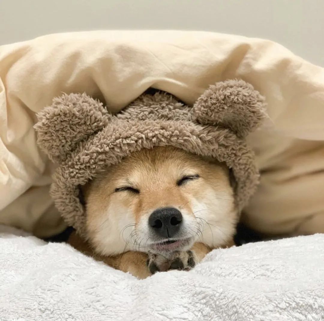 六个小妙招，头发变长不是梦
