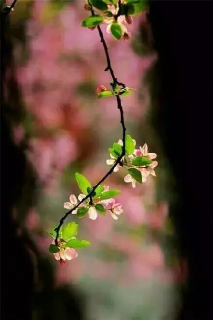 世事短如春梦,人情薄似秋云