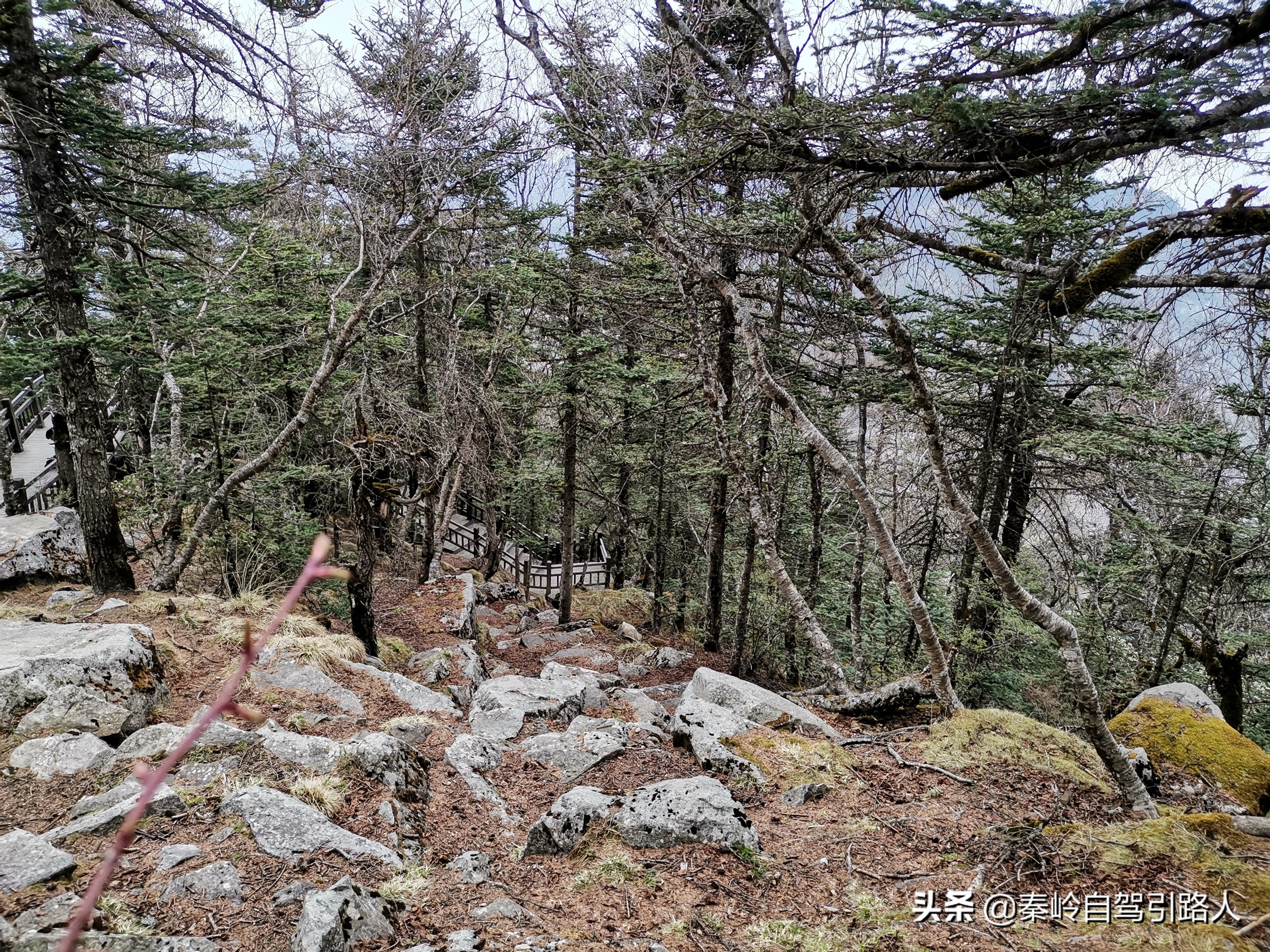 秦岭主峰｜太白山，教你一天领略太白美景，还不花冤枉钱