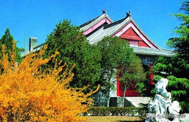 报录比17|中央民族大学