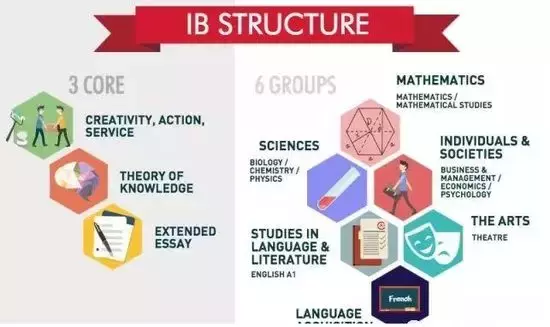 在《银河补习班》前，家长已经把IB、AP课程排上了