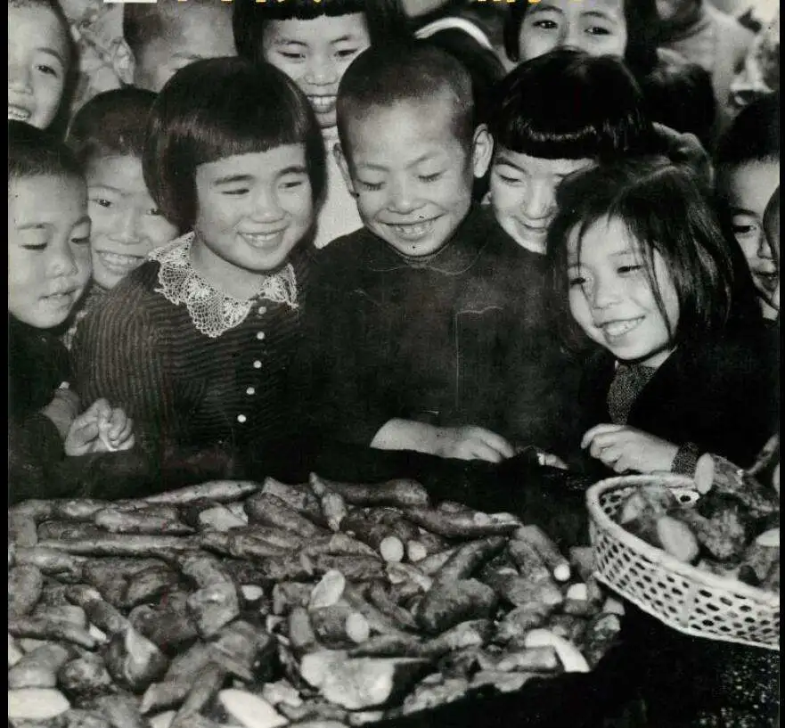 劳动手册,劳动手册在哪里办理