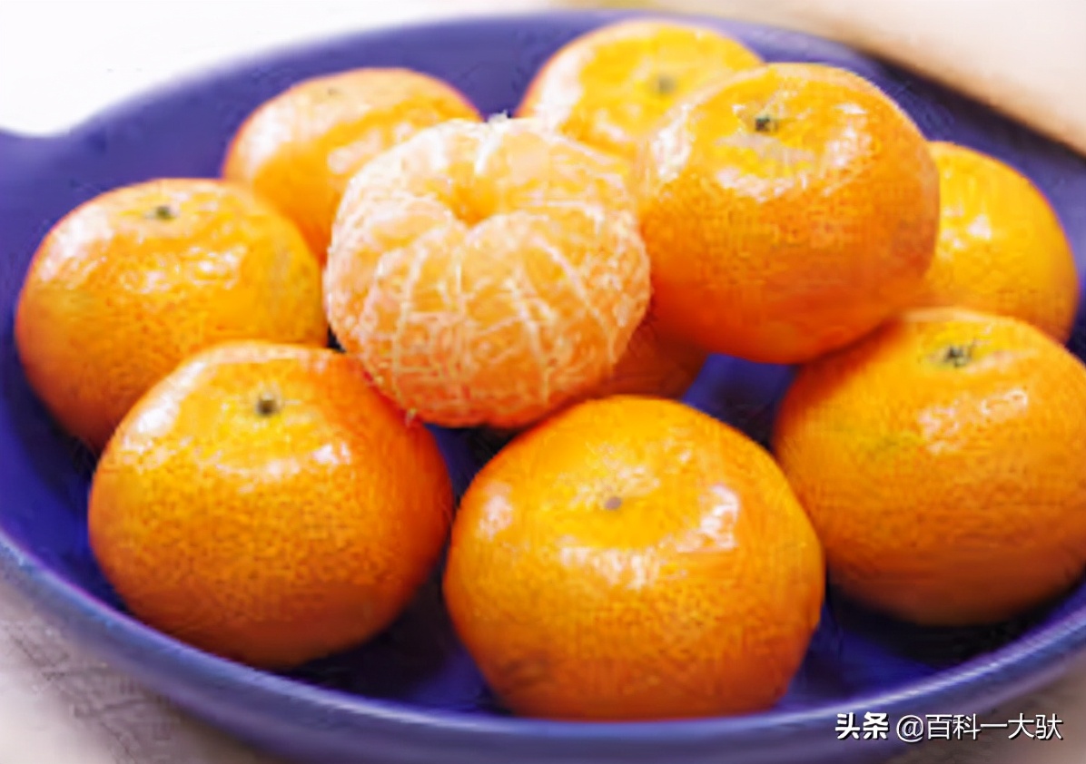 十大最好吃的橘子（柑子）介绍