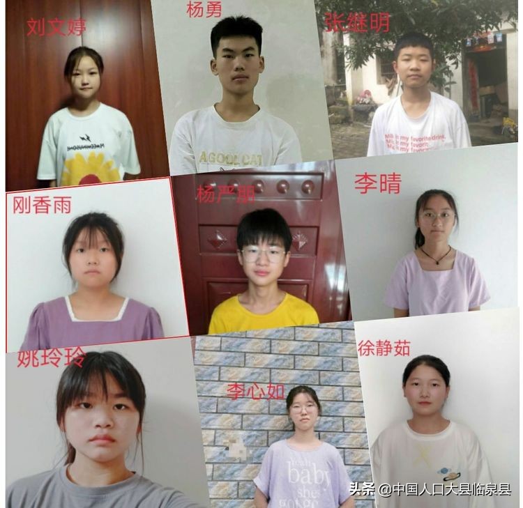 临泉县杨小街中心校2020中考喜报