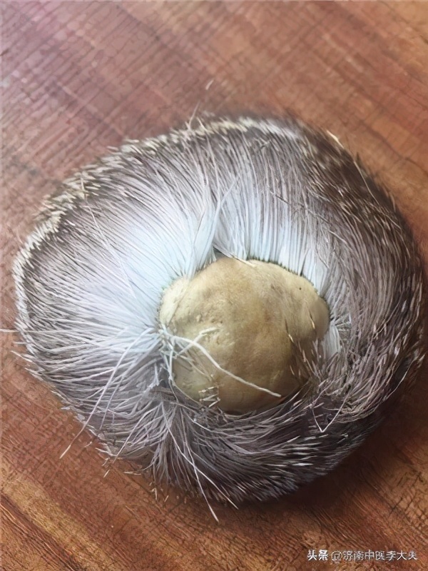 麝香是什么动物身上的哪个部位麝香的功效详解