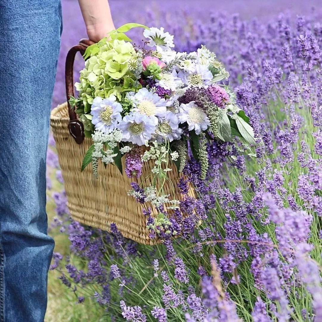 愛花的極致，就是心甘情願當個“花奴”