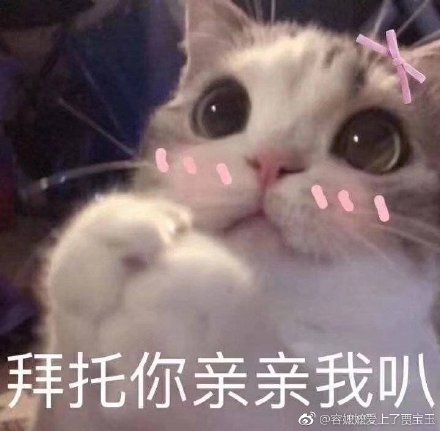 猫咪表情包：骗你是小猫