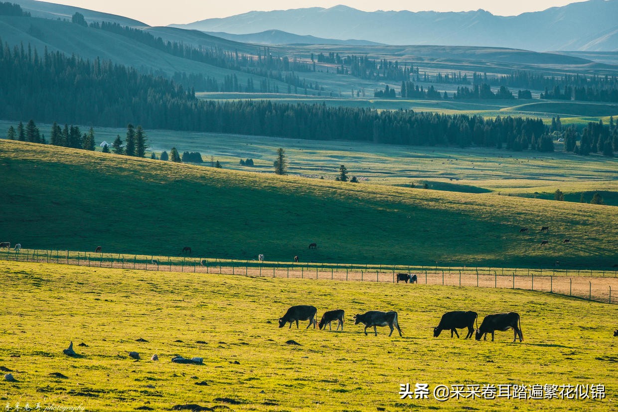 自驾新疆，夏秋伊犁怎么玩？快跟我云游发掘深度旅行小众目的地