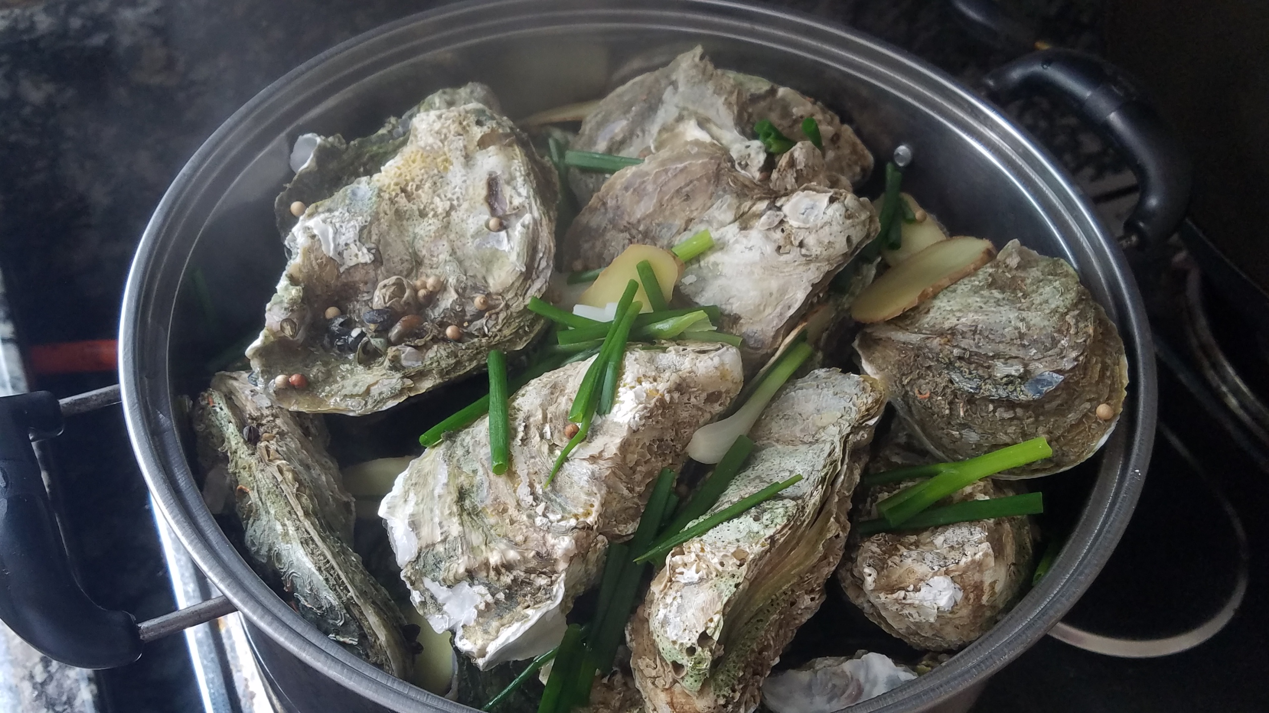 生蚝的简单做法，一个人吃了5斤，营养美味又好吃，味道很鲜