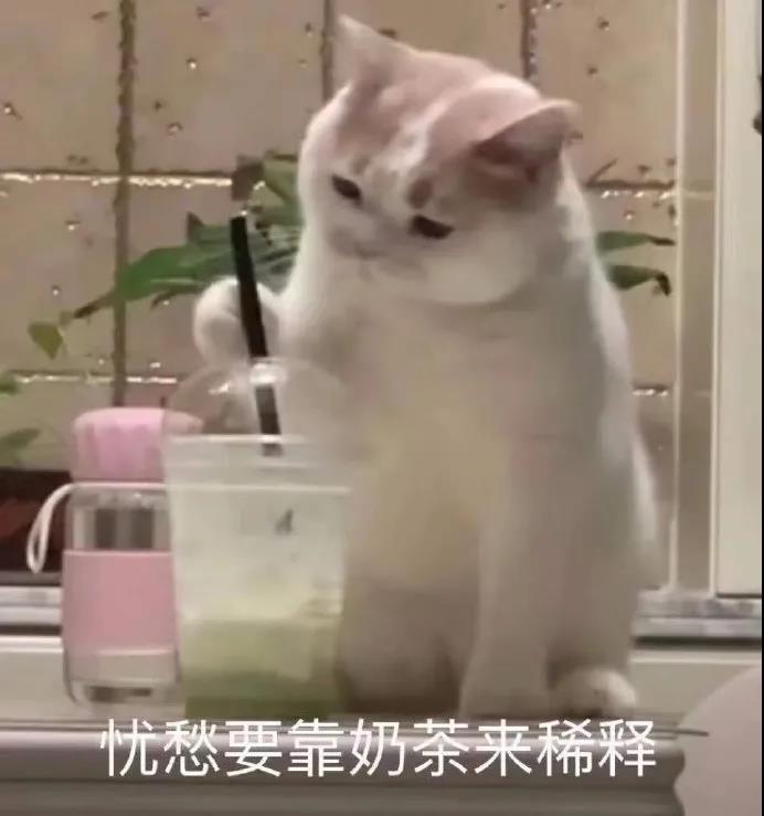 表情包：忧愁要靠奶茶来稀释