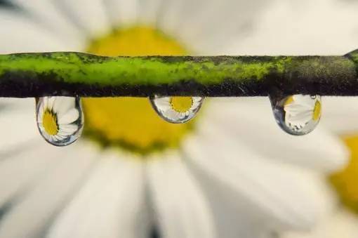 11首现代诗歌，静静的去聆听吧