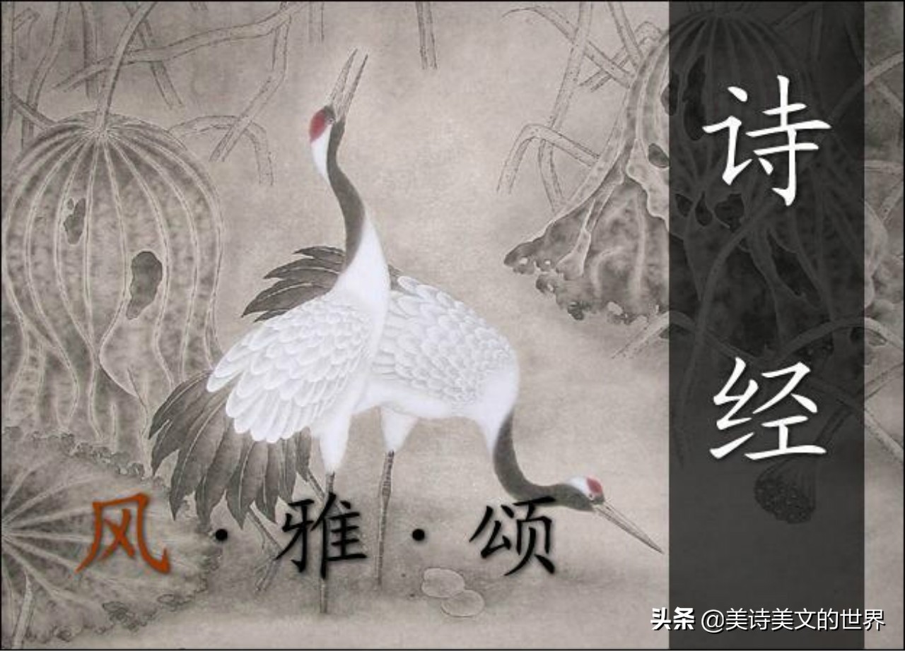 2500年前一首“懒得出奇”的情诗，短短几句大量重复，却令人沉醉