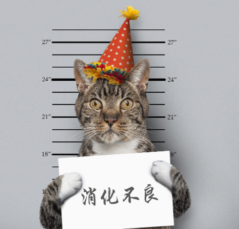 貓咪拉稀怎么解决？