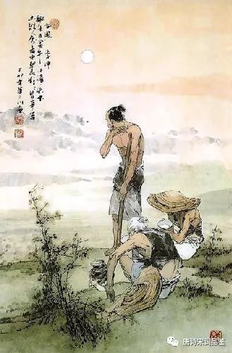 古诗词赏析 |《悯农二首》李绅 |「唐诗」