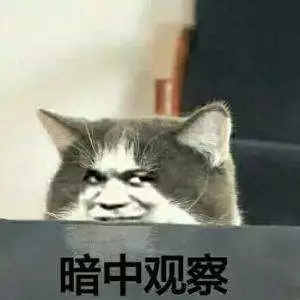 撒娇专用的猫咪表情包给你个机会偷亲我