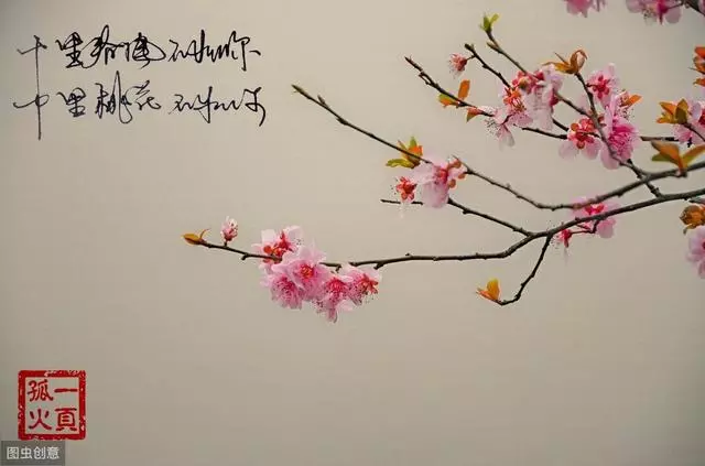 大文豪苏轼诗词集，每一首都是经典！