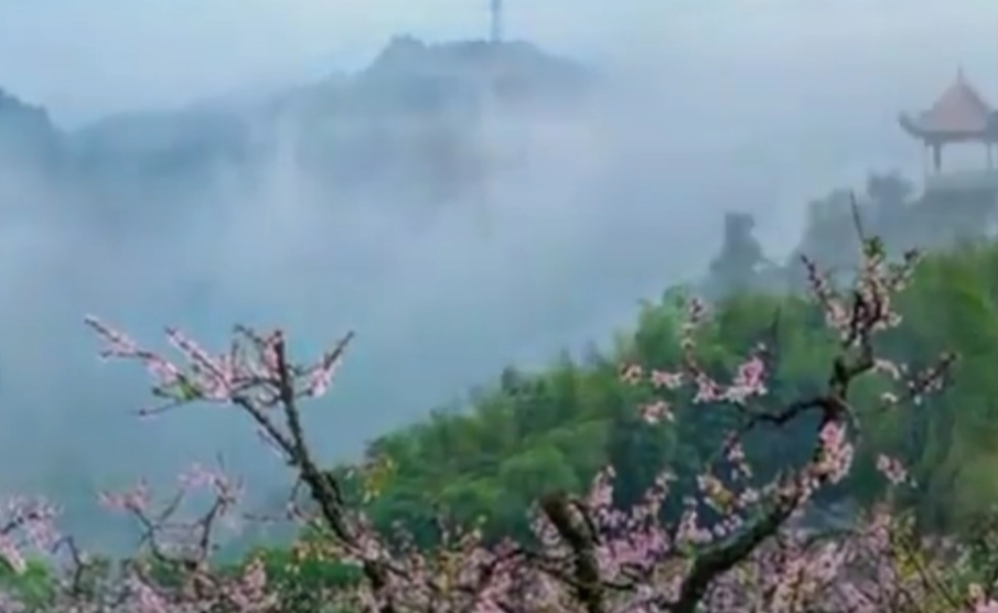 山，人格化的象征：毛主席的《五律.看山》写出他与山的特殊情结