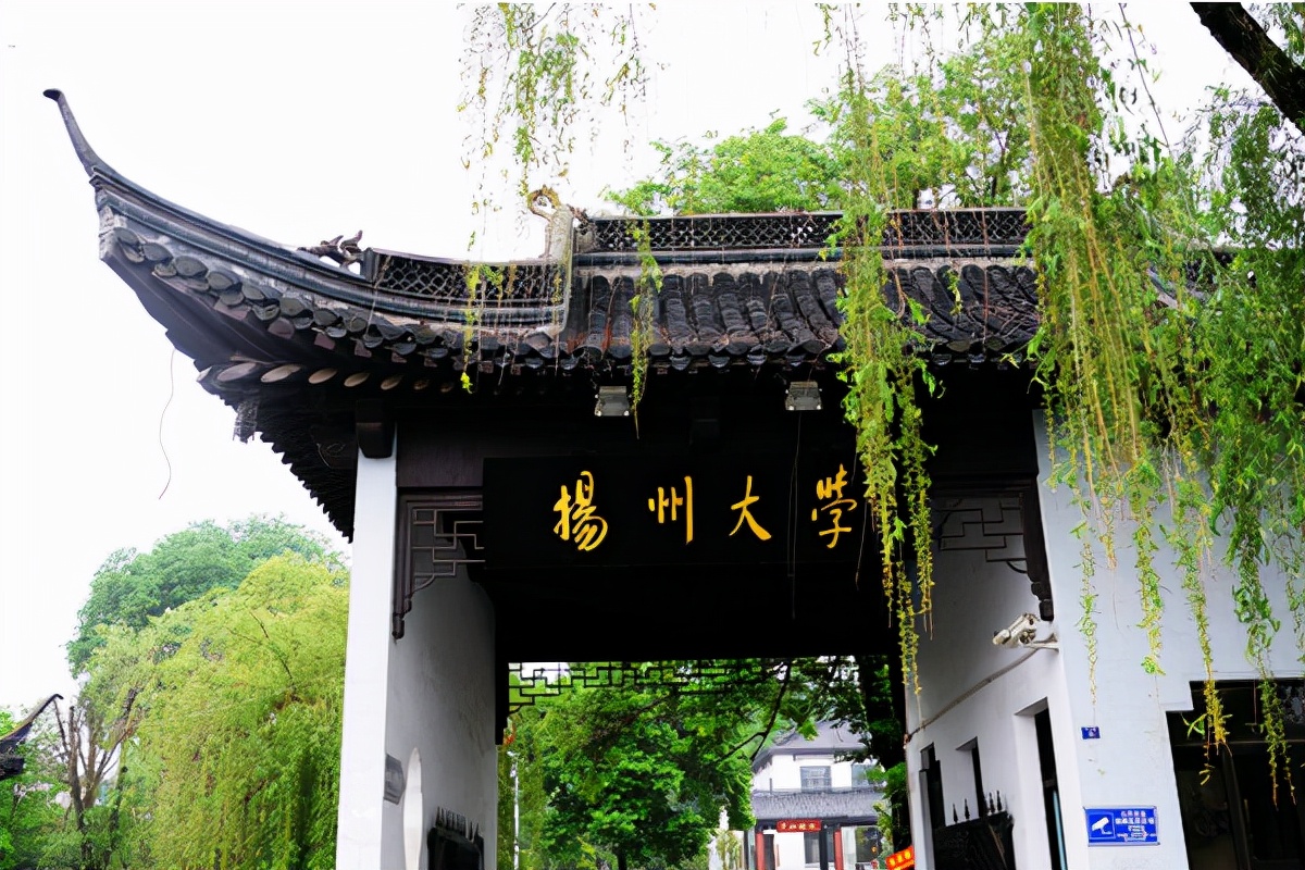 开始招生！江苏新增两所本科院校，全部是公办大学，助力教育崛起