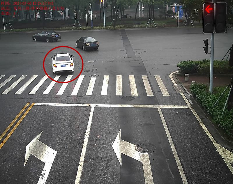 交通违法曝光！