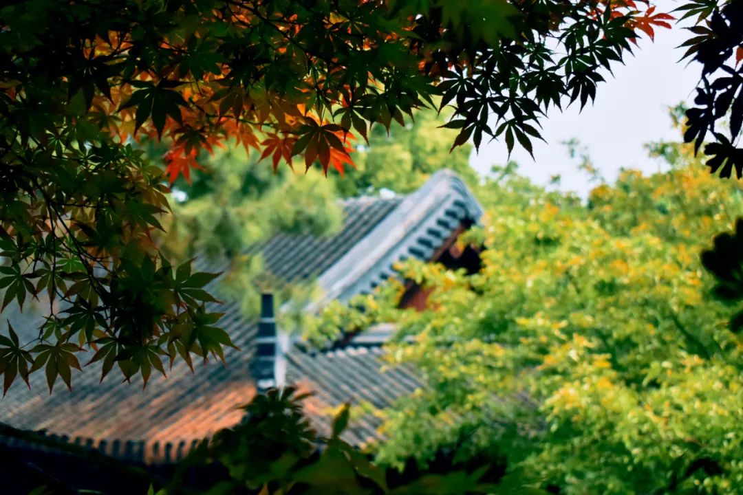 20句静美的诗词句子，洗涤你的心灵，挑一句送给自己吧-第8张图片-非凡网