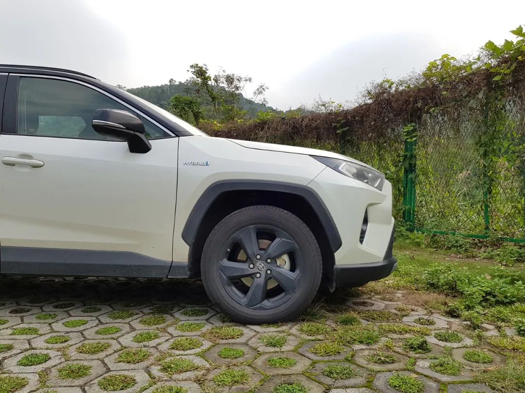 RAV4怎么就吃香了，是因为TNGA、混动系统还是麋鹿测试？