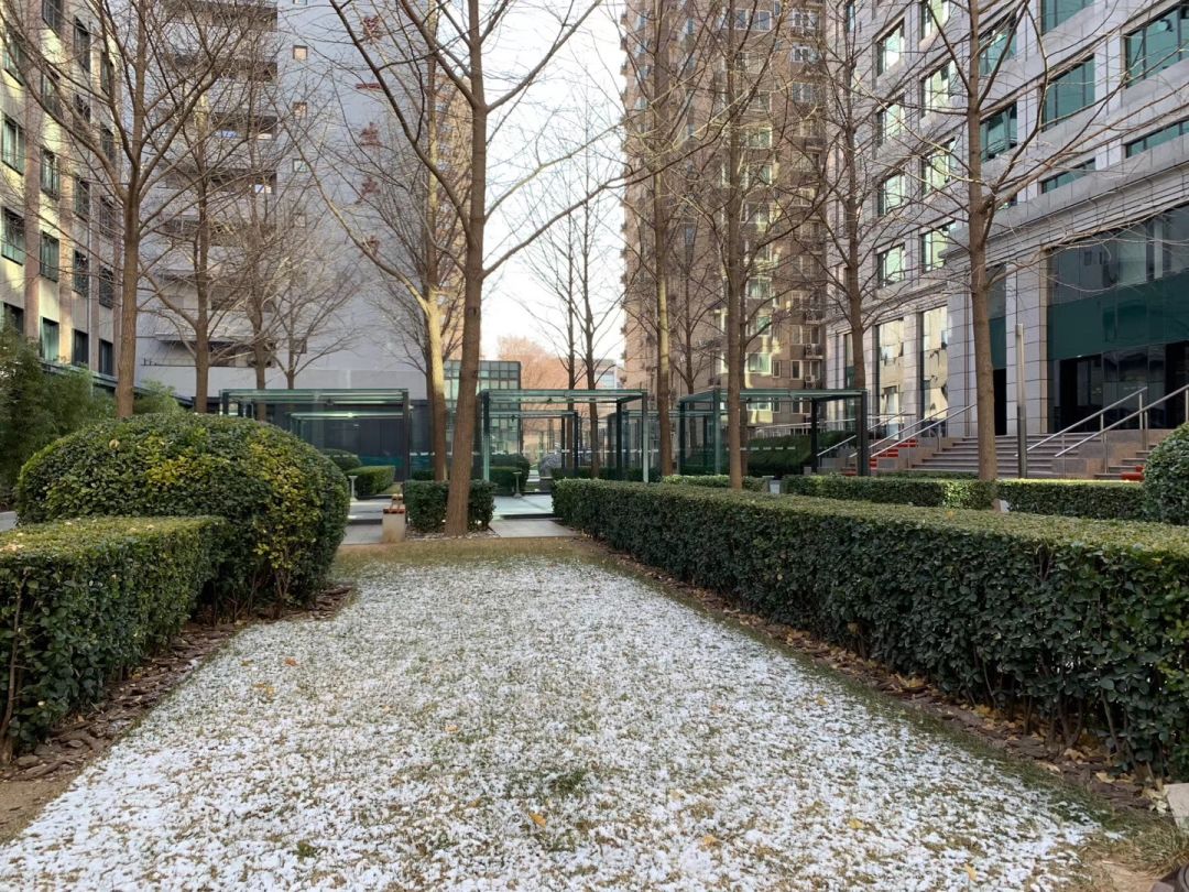 设计院给自己盖楼都长啥样？