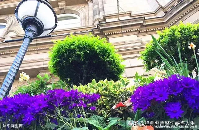亲情,永远最重要