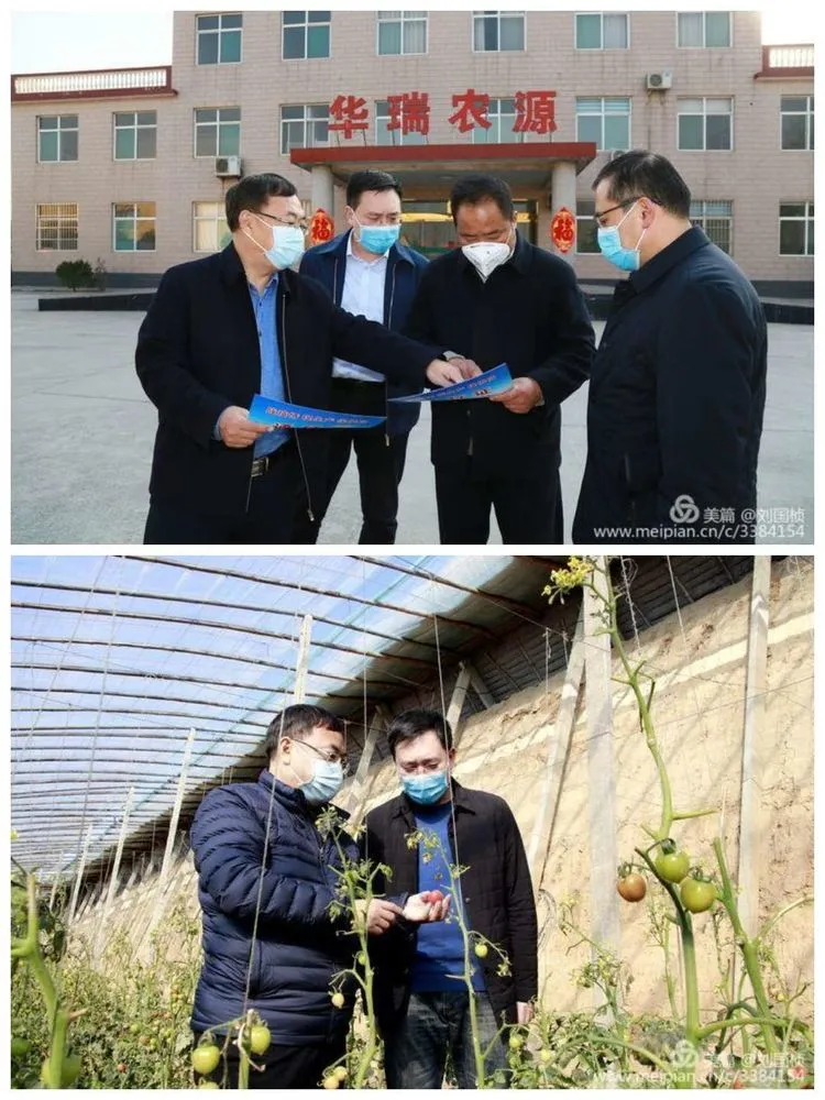 戮力攻坚勇担当 众志成城“卫”人民——武安市五级人大代表在行动