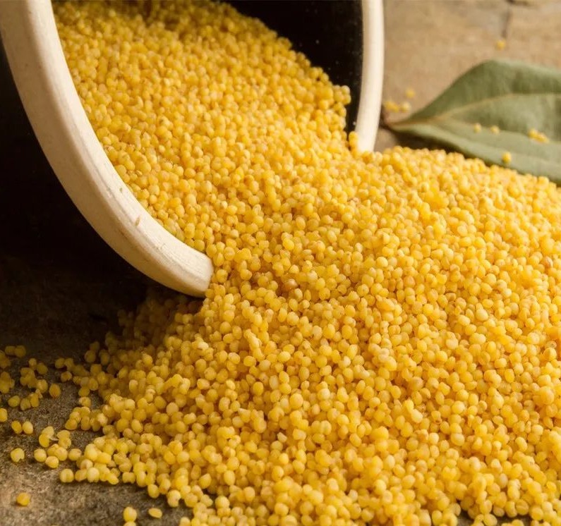 米脂小米知道(米脂小米哪个牌子的好) - 114货源网