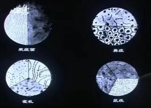 仍然不能忘记泡在福尔马林瓶里的婴儿，731部队的恶行