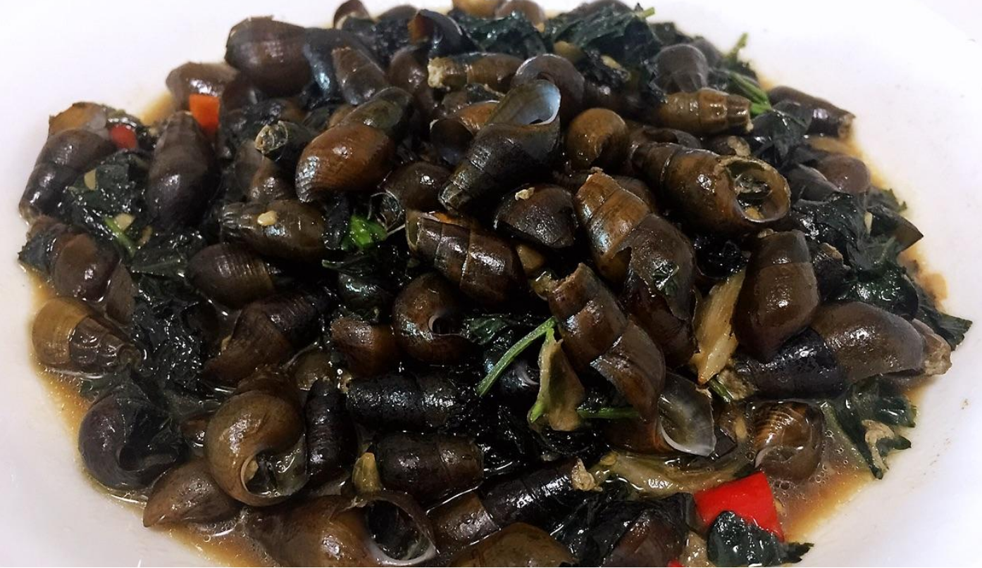 紫苏和苏子叶是一种东西吗（苏子叶的几种新吃法）