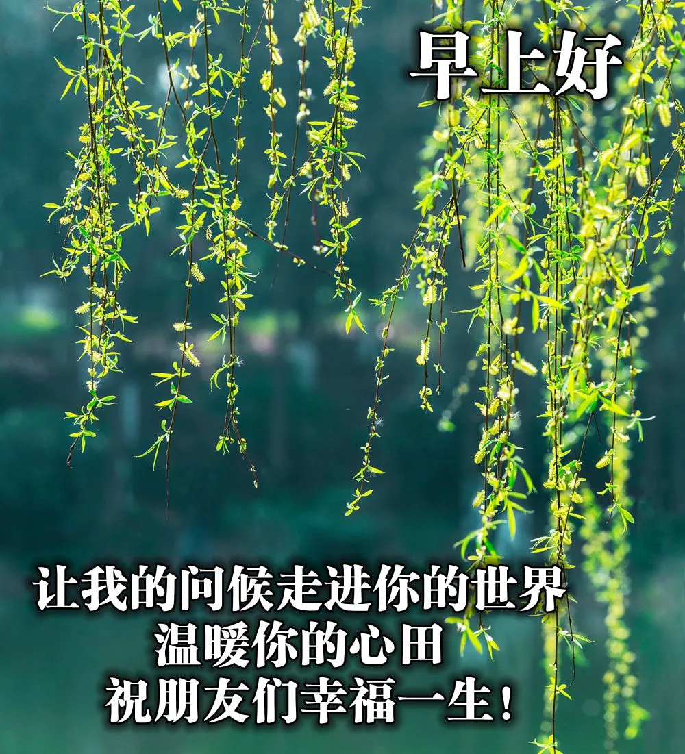 快乐幸福的早上好动态图片，早安心语动态表情包