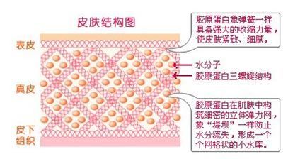 毛孔粗大可以根治吗？收缩毛孔的治疗真相和6个治疗误区要知道