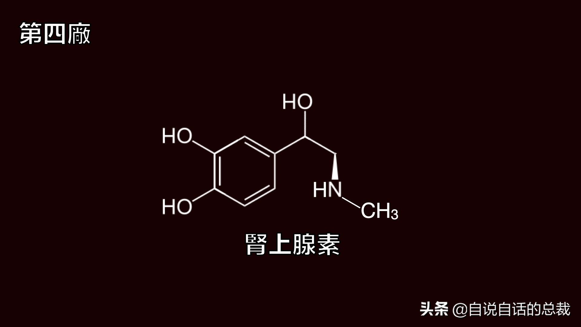 全世界的柠檬都读Lemon？这背后有一个刻在8号染色体上的上古故事