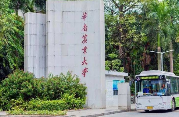 大一新生晒“包厢式宿舍”，让人羡慕不已，网友直言复读来得及吗