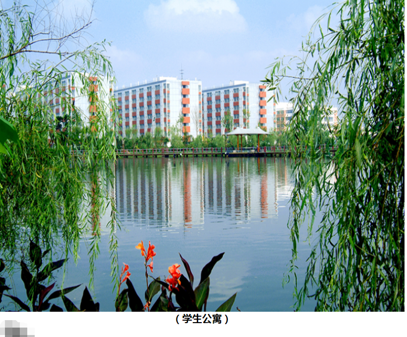 四川城市技师学院