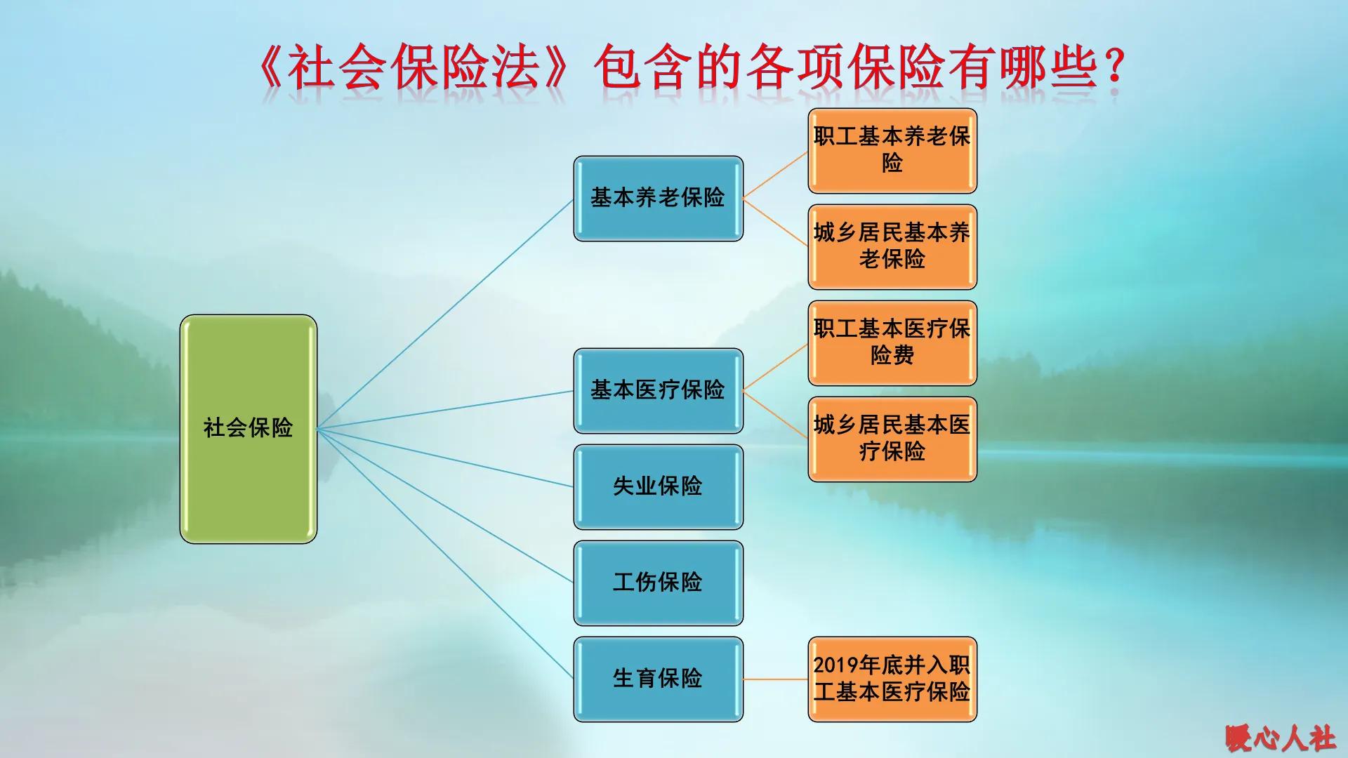参加社会保险每年需要缴纳多少钱(参加社会保险每年需要缴纳多少钱费用)