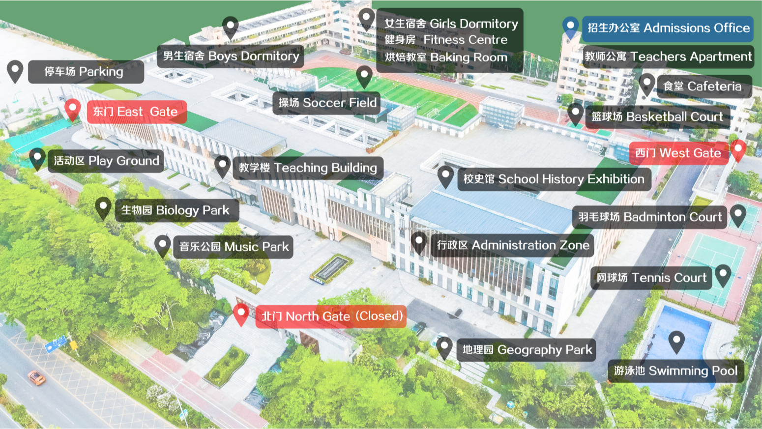 新疆18岁女孩“人美歌甜”，同时被15所世界名校录取，有颜又有才