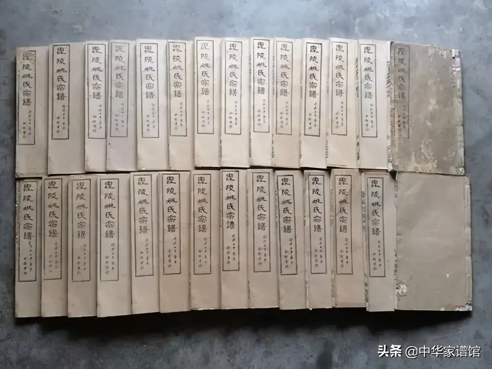 家谱如何制作？怎么排？五步搞定